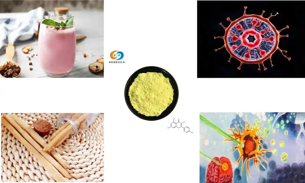 Can Kaempferol Powder Boost Muscle Recovery? Can Kaempferol Powder Boost Muscle Recovery?